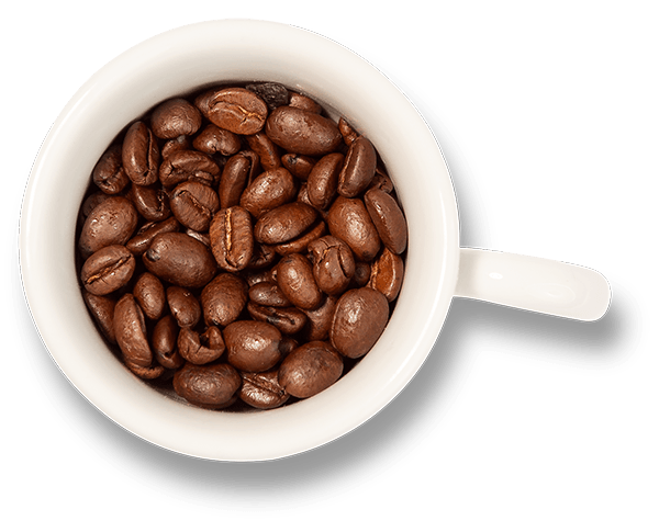 Versgemalen koffie | Onze espressobonen concepten: probeer nu