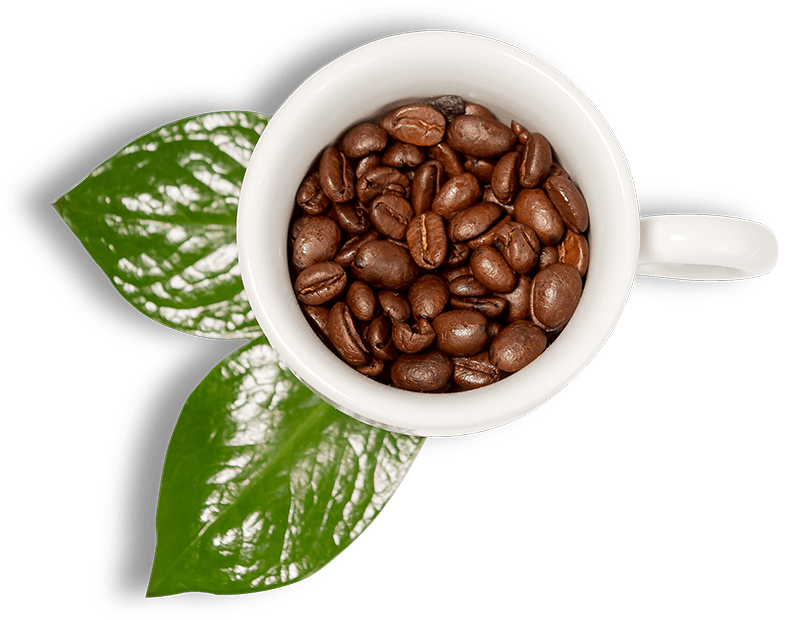 Duurzame koffieleverancier | Over KoffiePartners