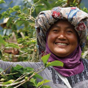 Fairtrade koffie boer | KoffiePartners