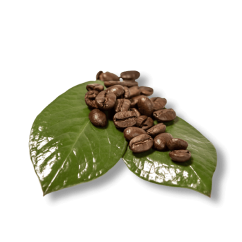 duurzame koffie | Koffieleverancier KoffiePartners