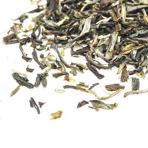 Senza Tea | Green Jasmine