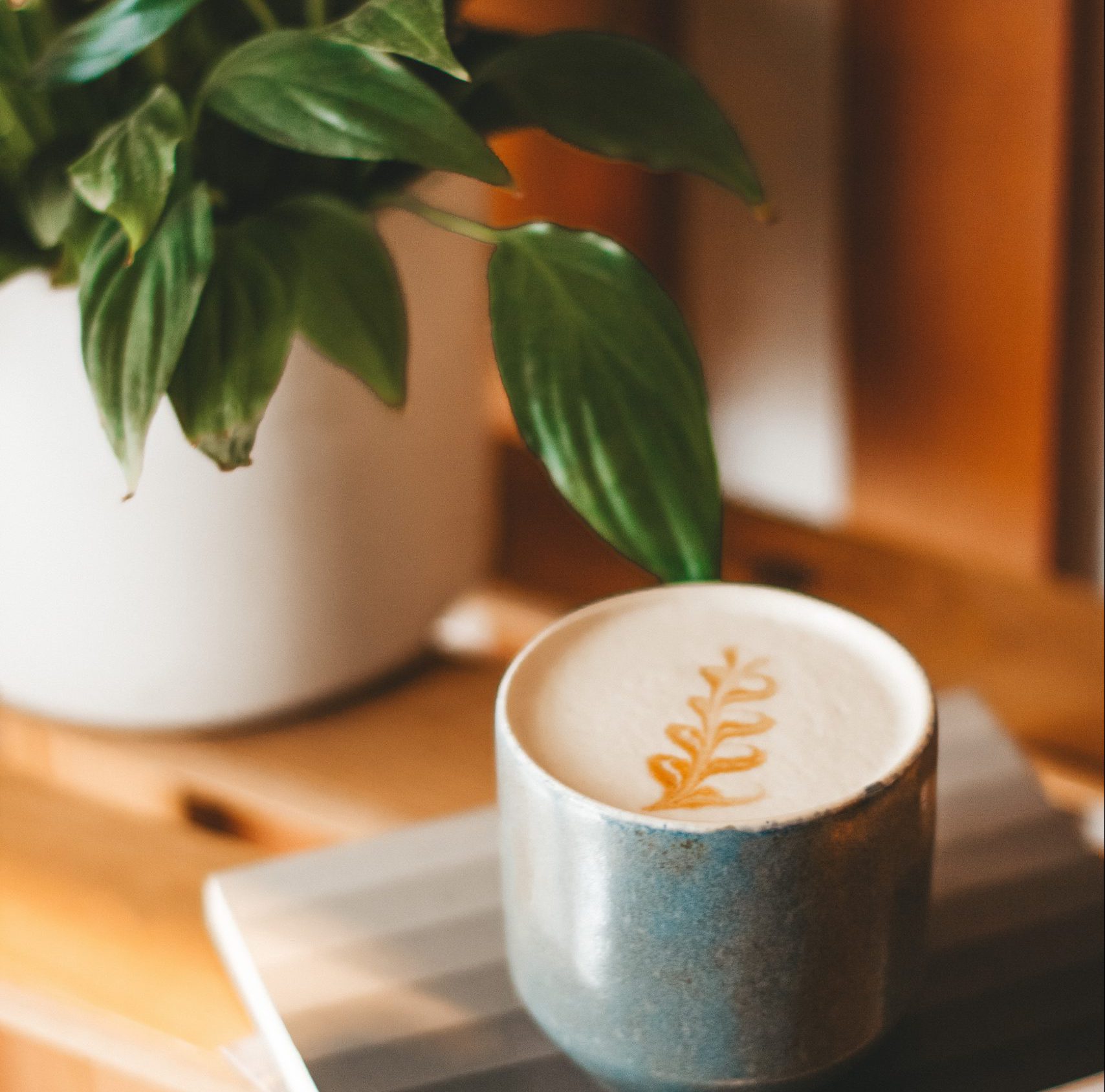 Vegan latte koffievariatie | populaire koffie consumptietrends | KoffiePartners